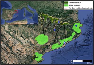 Between valleys, plateaus, and mountains: unveiling livestock altitudinal mobility in the Iron Age Iberian Peninsula (3rd c. BC) through a multi-isotope approach